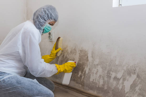 Best Crawl Space Mold Removal  in Princeton, WI