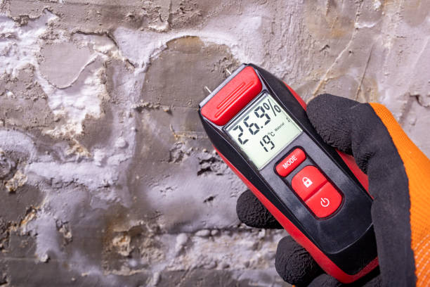 Best Residential Mold Removal  in Princeton, WI