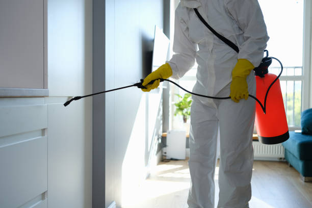 Best Certified Mold Removal  in Princeton, WI
