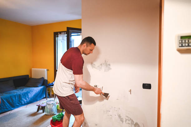 Best Commercial Mold Removal  in Princeton, WI