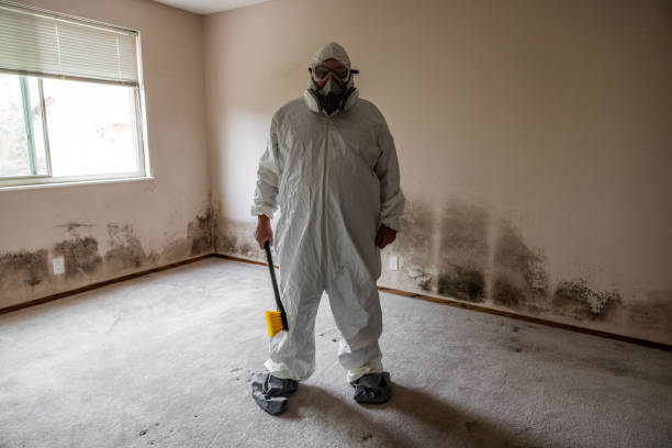 Mold Testing and Removal in Princeton, WI